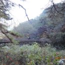 중앙동122 이미지