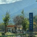 금천계곡 야영장 이미지