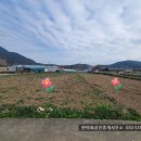 고성부동산중개사무소 이미지