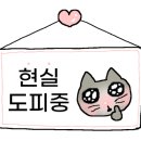 남해커플 이미지