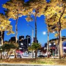 송림산업