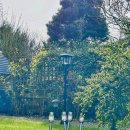 하늘아래 첫동네 꿩밭 | 3월. 봄의 시작.