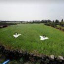 서광2교차로 3 이미지