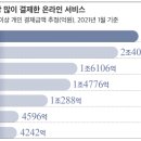 오아시스 카 서비스 이미지