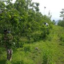 석현1농장 이미지