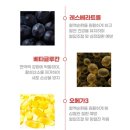 밸런스펫츠 이미지