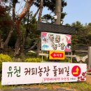 유천승마장 이미지
