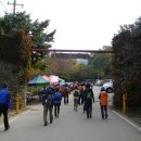 @ 황토길과 맨발축제를 간직한 대전의 신선한 꿀단지, 계족산 가을 산책 (장동산림욕장, 계족산황톳길, 맨발축제 둘러보기) 이미지