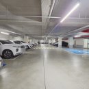 라이브PC 이미지