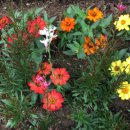 정원의 조성과 관리 이미지