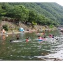 솔풍경 네이버블로그