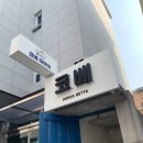 코베아쿠아 | 양재 수족관 코베/ (코리아베타)코베 수족관 방문후기!