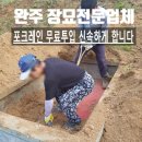 신속묘 이미지