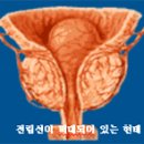 [ 남성의 회춘제-테스토스테론 ] 이미지