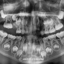 글로리치과교정과치과의원 이미지