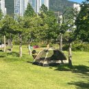 부산시설공단부산시민공원 | 부산시설공단, 부산시민공원 전역 12일부터 그늘막텐트 설치 허용