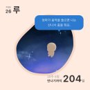 평촌라임약국 | 임신 11주차
