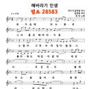 (악보) 가수 최민 - 해바라기 인생 (작사 전수지, 길현철 & 작곡 길현철) 엘프 28583 (2024 신곡) 이미지