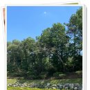 지리목장 이미지