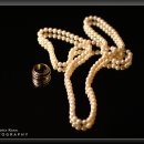 다보이는세상 이미지