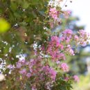 문경 부훤당고택 이미지