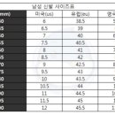 인디안신발