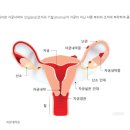 과천 정약국 이미지