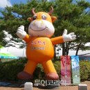 아빠의사과