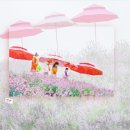 장성공원3 이미지