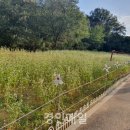 논현고잔동-7 이미지