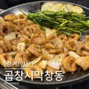 광덕동로 | [경기/안산] 고잔동 야들야들 초벌 막창의 매력, 곱창시막창동 내돈내산 후기