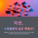 [단기강좌] 임산부요가 주간 | 탁센, 소화불량의 숨은 해결사?