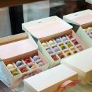 쇼콜라쏭즈 | 신세계백화점 강남 팝업스토어 발렌타인데이 초콜렛 선물 추천
