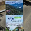 도롱뇽 | 충북 괴산 성불산 자연휴양림 후기｜초1 아이와 생태공원·도롱뇽 관찰·숙소 이용기