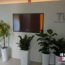 티유치과의원 이미지