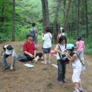 네잎클로버의 메아리 이미지