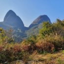 진안택시 이미지