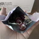 GBR 프로폴리스 구미 씁쓰름과 단맛의 조화