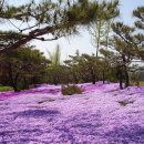 잔디 농장 이미지