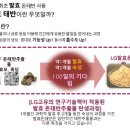하나미