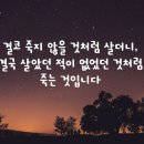 11월.23일.화요일 간추린 뉴스 이미지