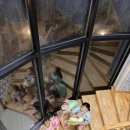 산꽃들꽃펜션민박 이미지