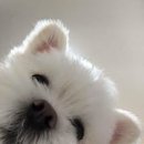 곱창하우스 이미지