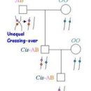 고대1121 이미지