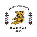 고양이 무마취 미용 냥털도둑 | [다산동 고양이 미용] 쫄보, 사나움, 엉킨털, 무마취 미용 솔직 후기 (가격 공개) 황금산고양이