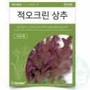 씨앗 - 남양주시 덕소로116번길 11 | 씨앗