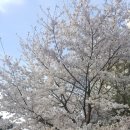 한마음공원(한솔공원)