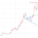 에이치엔바이오텍 이미지