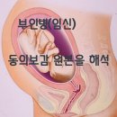 더덕꽃차ㅡ더덕의모든것 이미지