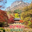 축령산 산소길(4구간) | 장성 백양사 단풍 절정 시기 2025 아너드 투어 아너드 여행사 혼자 여행